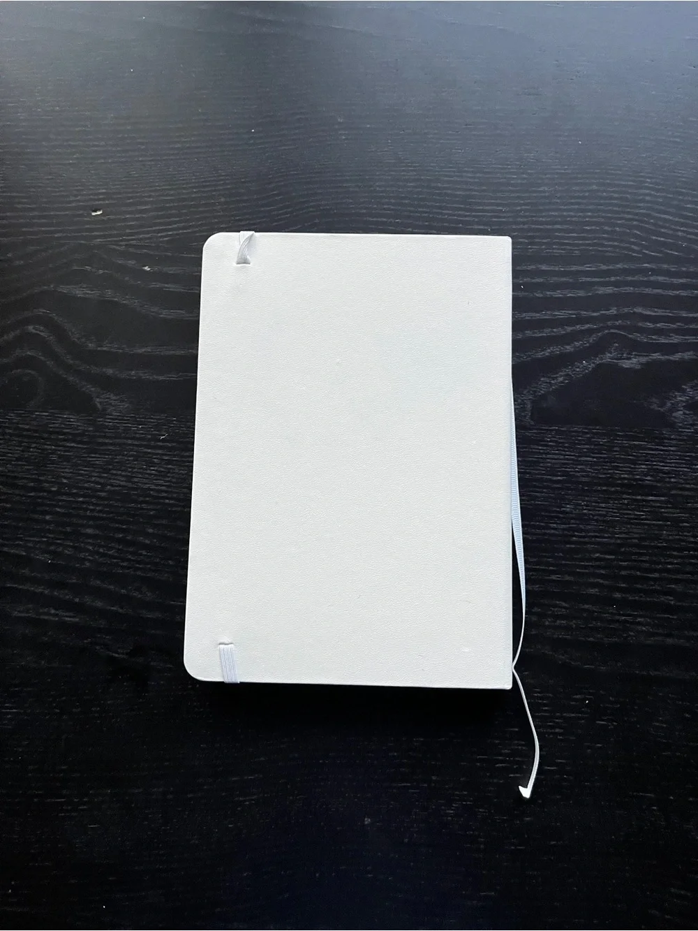 Paperage Datadog Hardcover Lined Journal Notebook White 5.7x8 Elastic Pocket